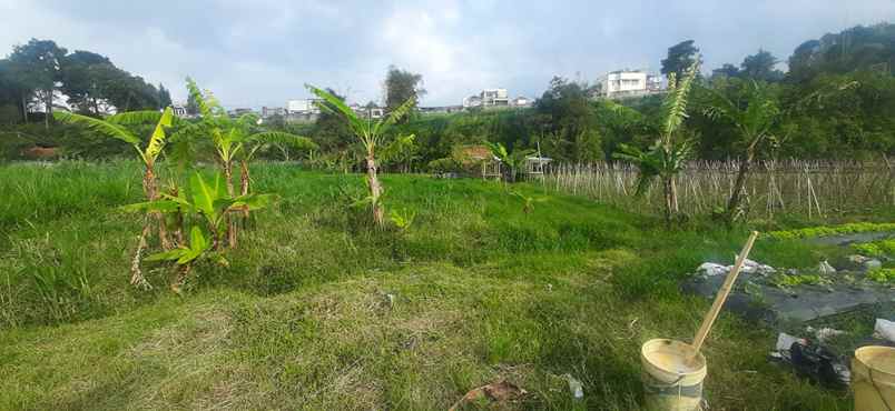 dijual tanah sersan bajuri