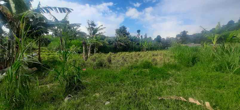 dijual tanah sersan bajuri