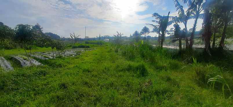 dijual tanah sersan bajuri