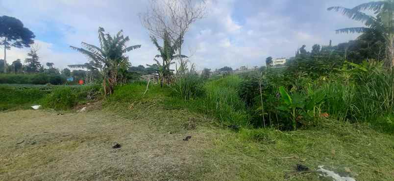 dijual tanah sersan bajuri