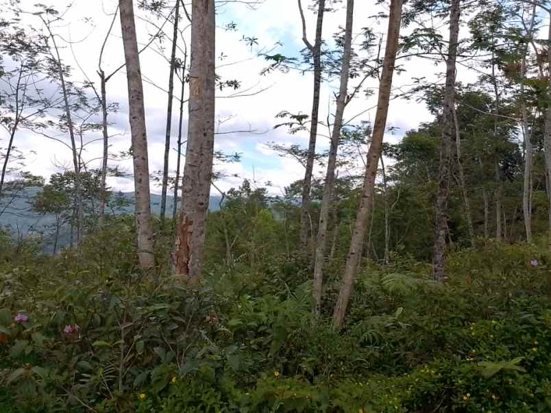 dijual tanah taraju kabupaten tasikmalaya