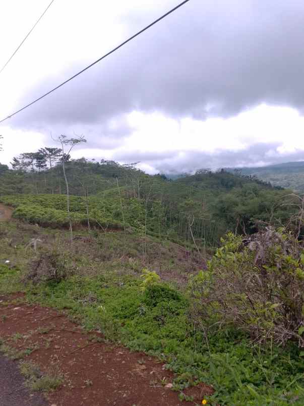 dijual tanah taraju kabupaten tasikmalaya