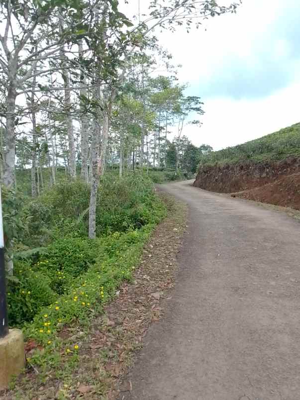 dijual tanah taraju kabupaten tasikmalaya