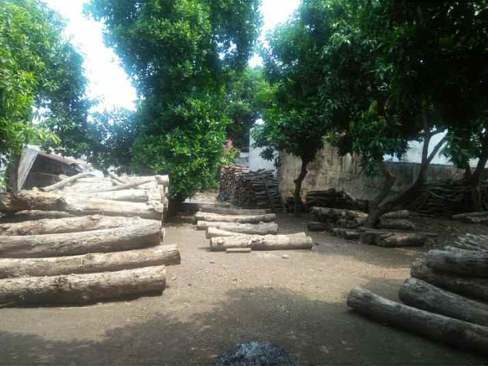 dijual tanah tepi jalan daerah panglima