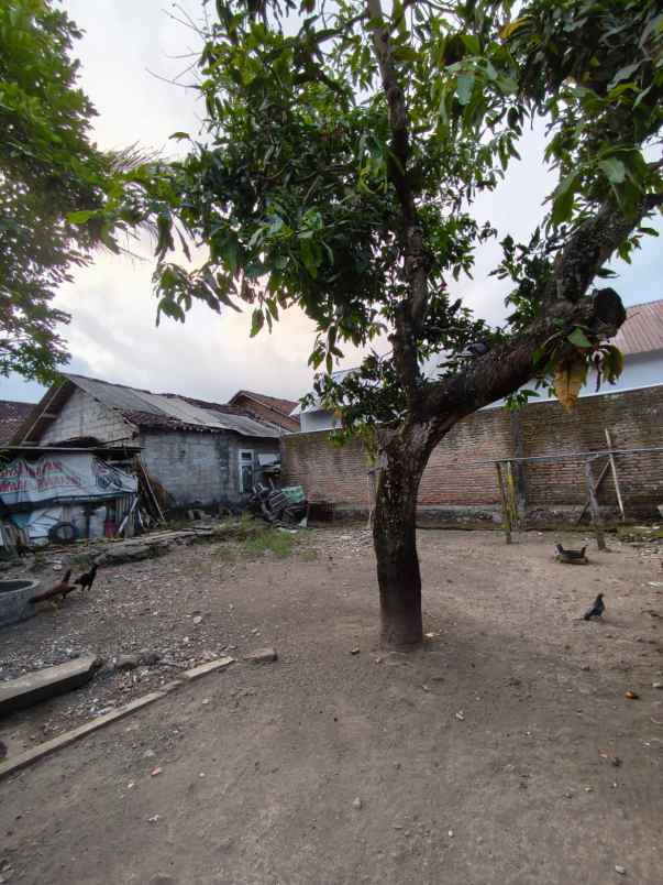 dijual tanah tridadi sleman regency