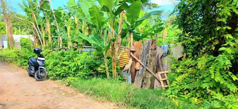 disewakan tanah jalan persada kerobokan