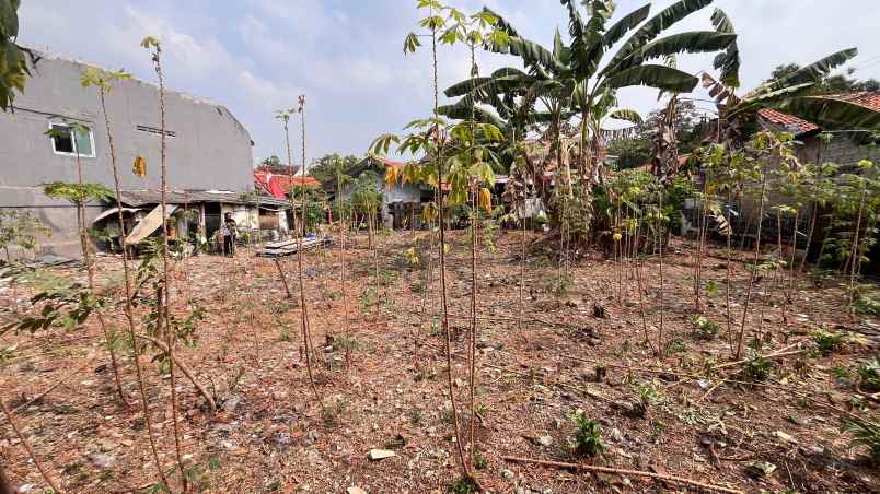 disewakan tanah jurang manggu timur pondok