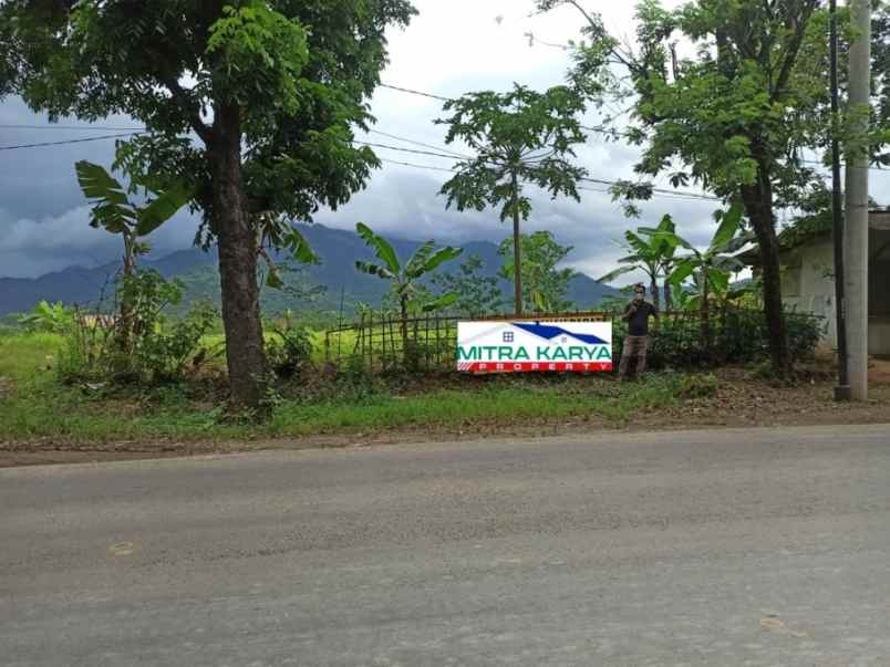 jual tanah darat jl transyogi sukamakmur jonggol bogor