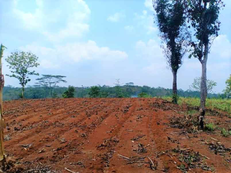 jual tanah strategis 3937m2 karanganyar