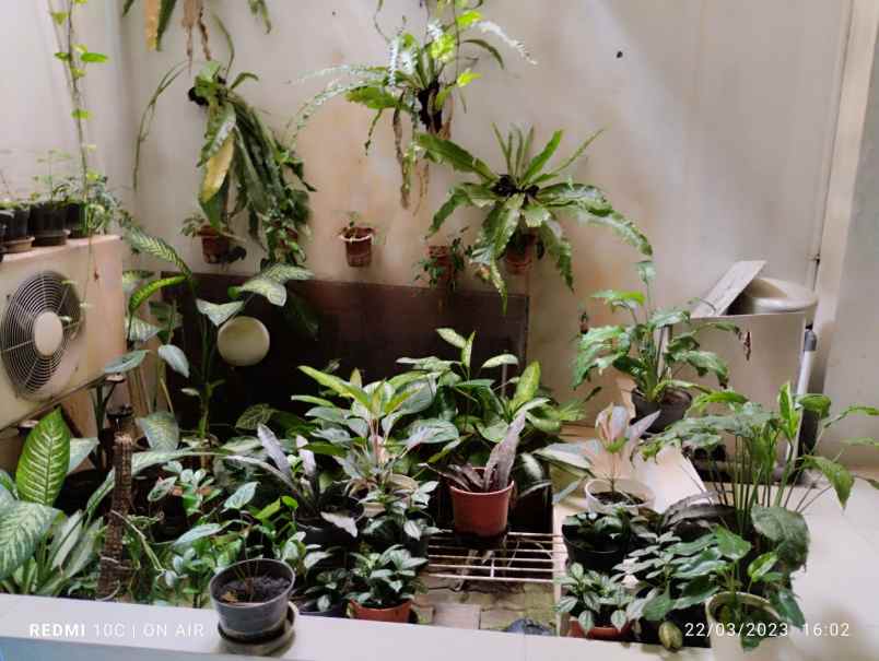 mampang prapatan rumah siap huni