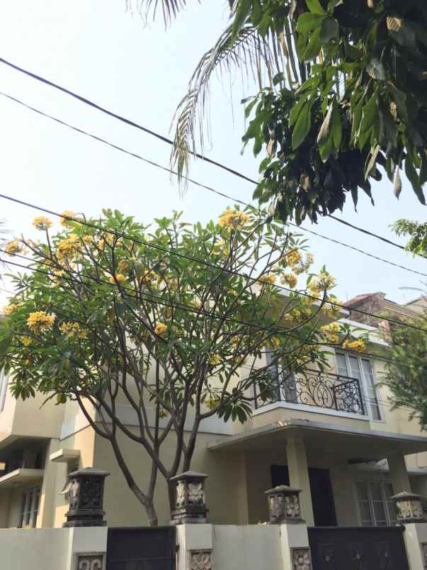 rumah alam segar pondok indah