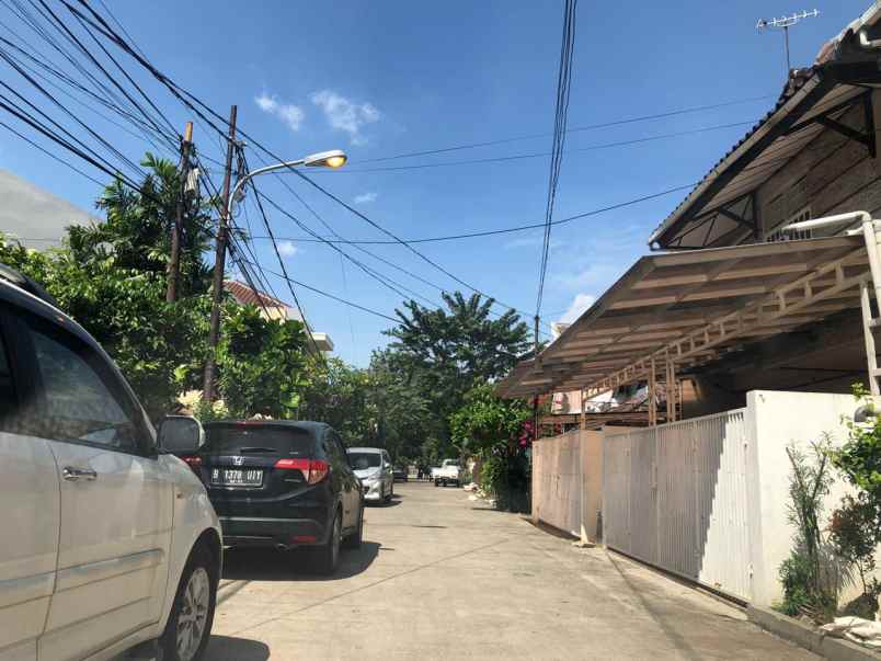 rumah kelapa puyuh kelapa gading