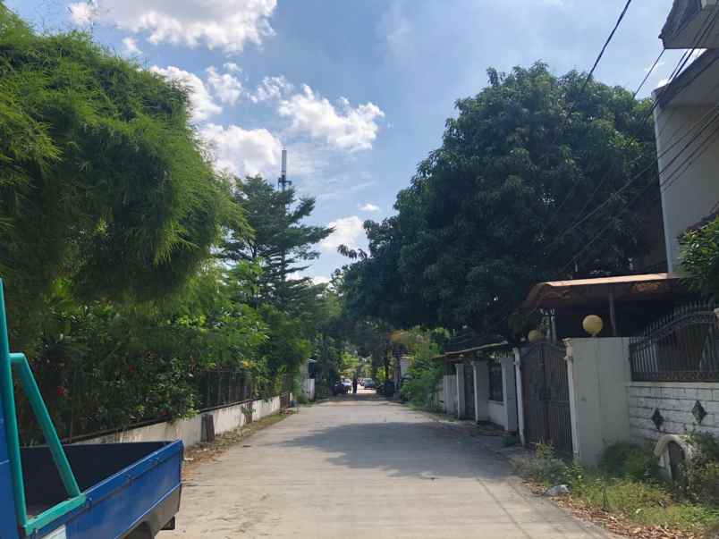 rumah kelapa puyuh kelapa gading