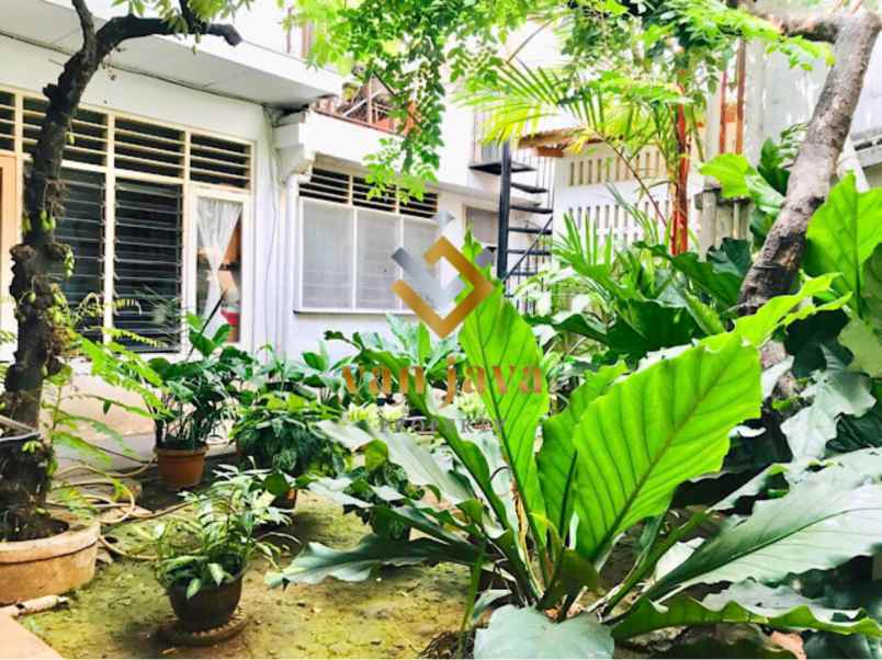 rumah menteng