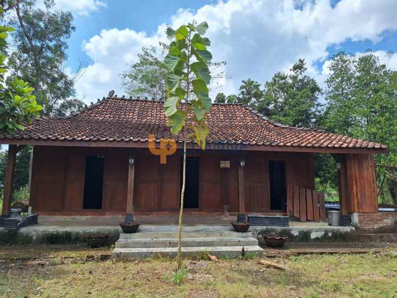 rumah semi villa joglo dengan kolam renang