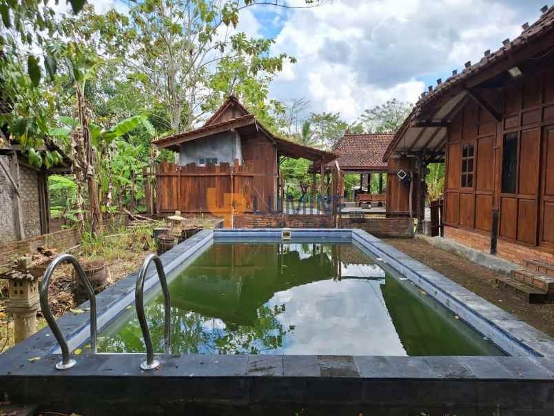 rumah semi villa joglo dengan kolam renang
