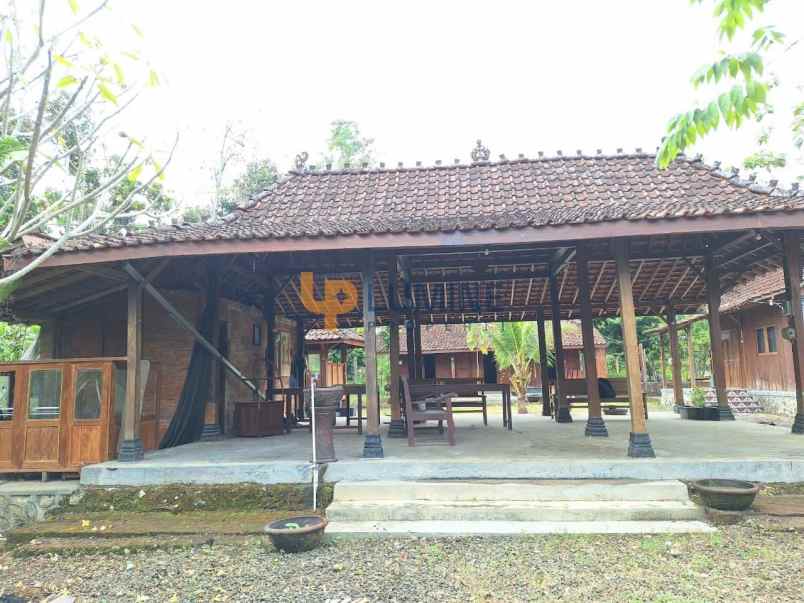 rumah semi villa joglo dengan kolam renang