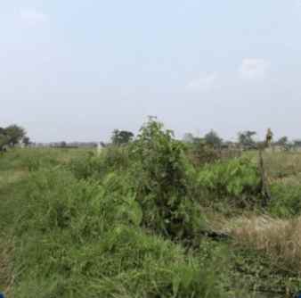 sawah murah lingkungan asri