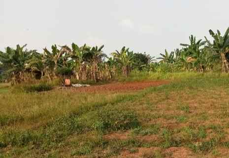 tanah 10 hektar cileungsi kab bogor