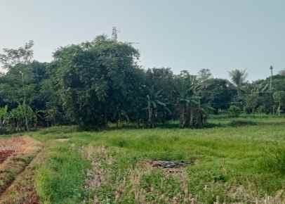 tanah 10 hektar cileungsi kab bogor