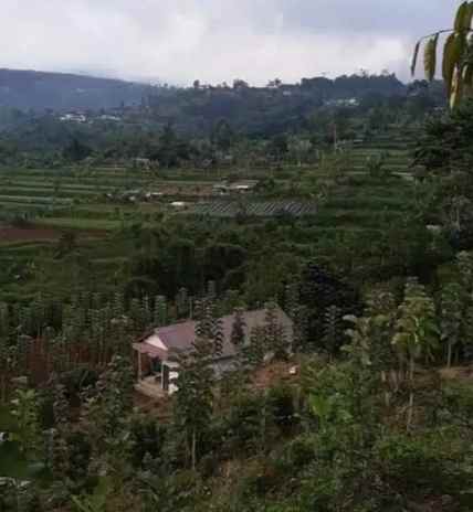 tanah batunya baturiti tabanan bali