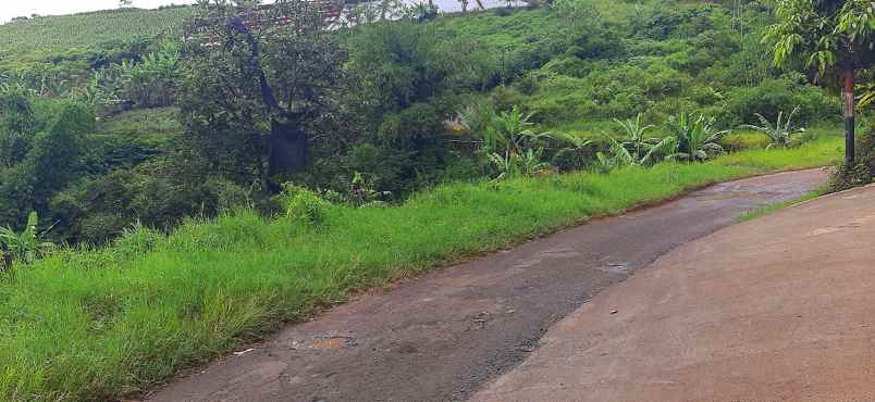 tanah desa mekar saluyu kampung