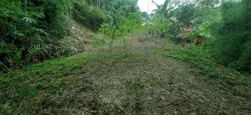 tanah desa mekar saluyu kampung