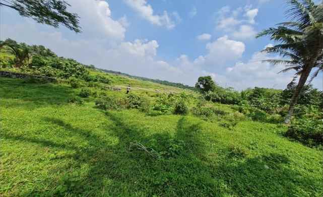 tanah di jl raya dago kebasiran kec parung kab bogor