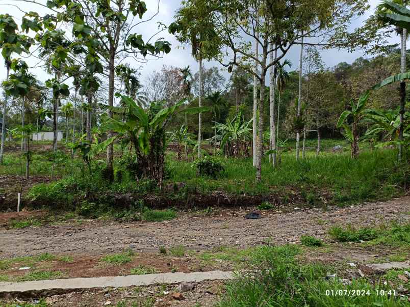 tanah di kemiling luas 440m shm siap bangun