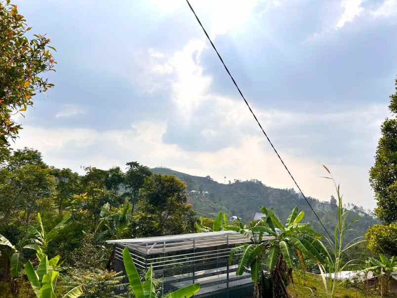 tanah hadap kebun teh jembatan kaca kemuning