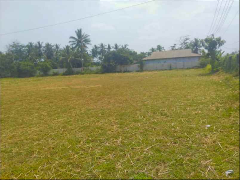 tanah jl labuan raya panimbang