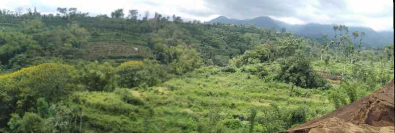 tanah jl locari precet