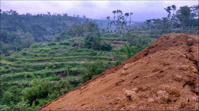 tanah jl locari precet