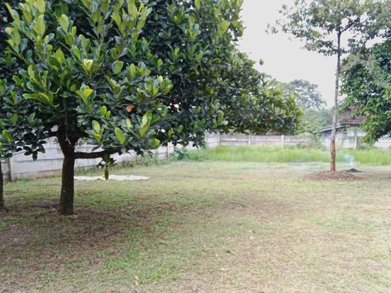 tanah jl tajur halang bogor