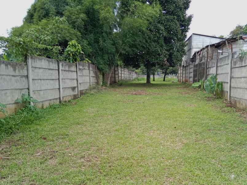 tanah jl tajur halang bogor