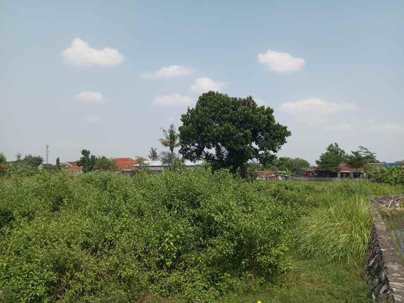 tanah kaliurang dijual dekat ugm view sawah