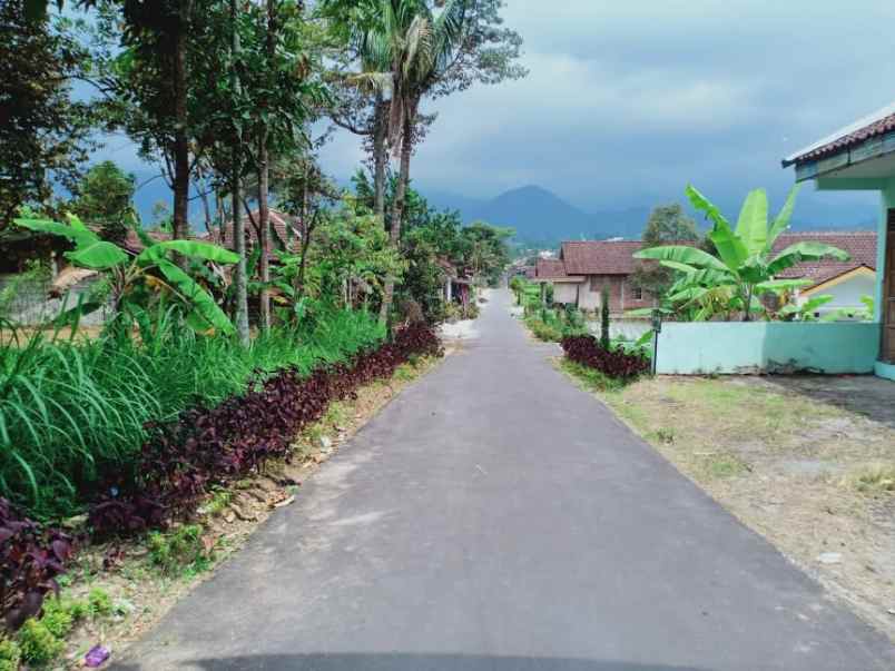 tanah karangpandan karanganyar