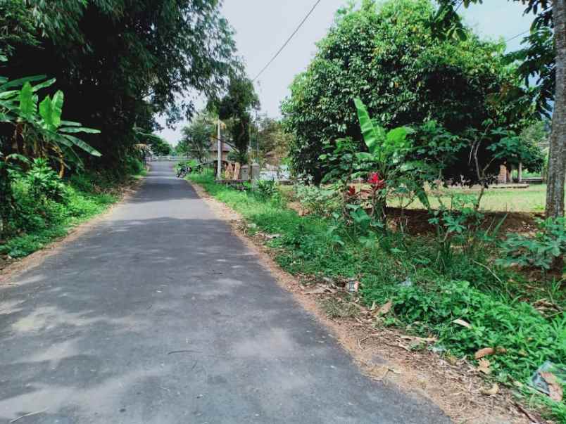 tanah karangpandan karanganyar