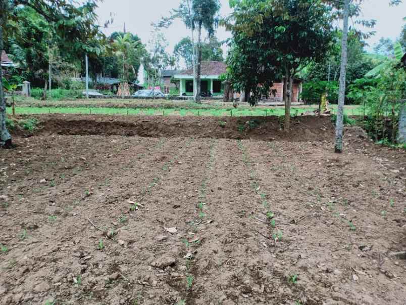 tanah karangpandan karanganyar