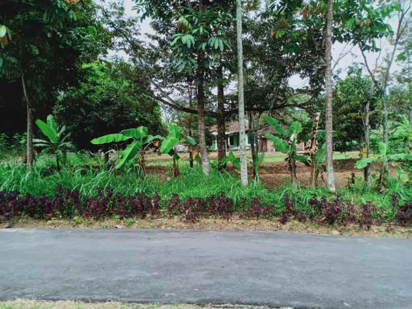 tanah karangpandan karanganyar