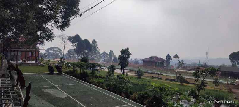 tanah kavling kebun teh puncak best view siap bangun