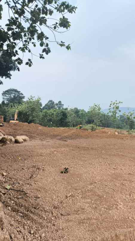 tanah kavling ludes terjual di sukamakmur bogor
