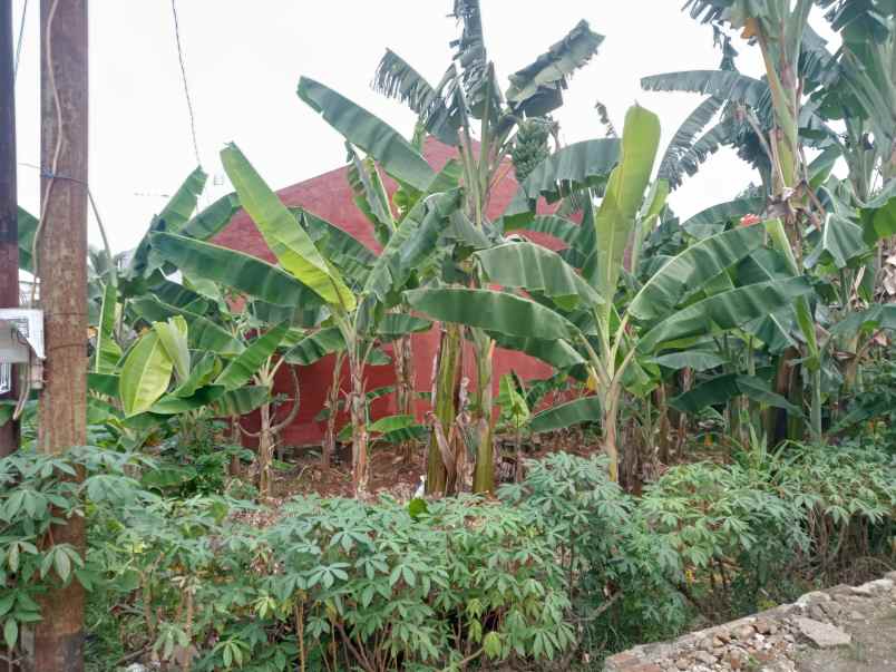 tanah kavling murah di grogol depok