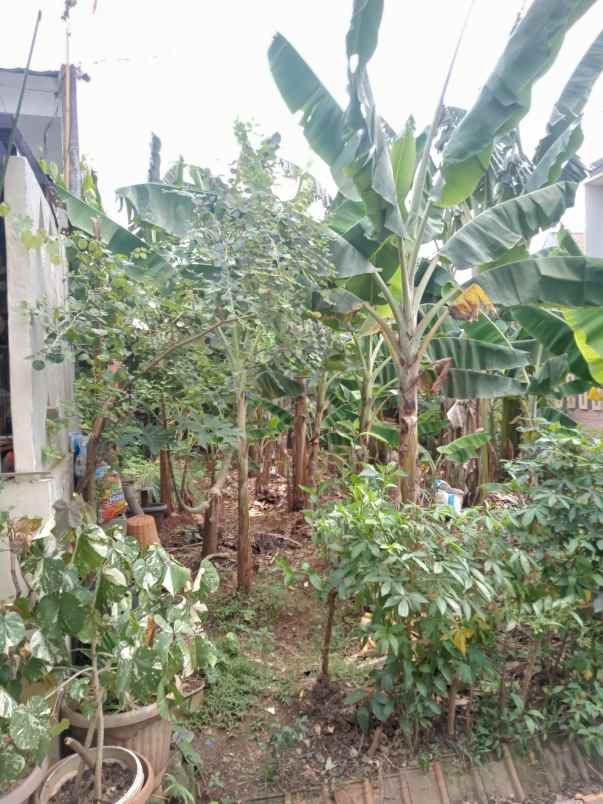 tanah kavling murah di grogol depok