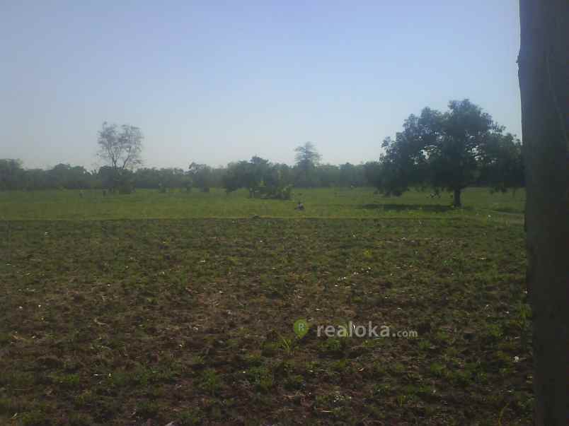 tanah kebonsari sukorejo pasuruan