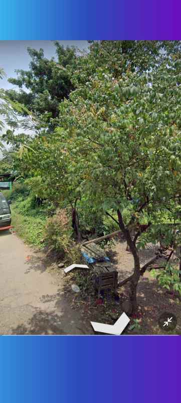 tanah kebun padat dan rata