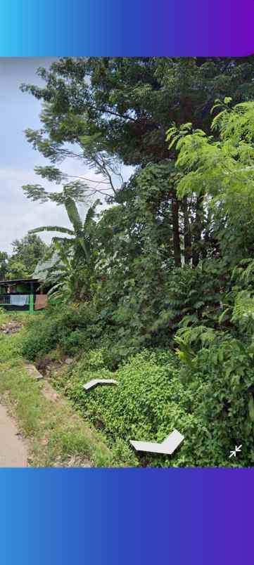 tanah kebun padat dan rata