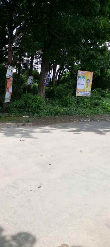 tanah kebun strategis pinggir jln raya