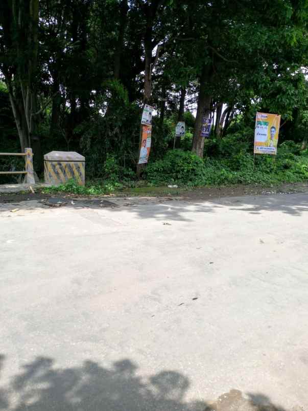 tanah kebun strategis pinggir jln raya