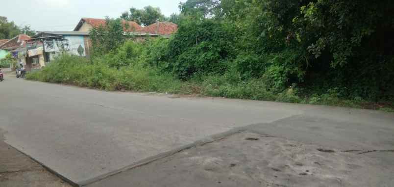 tanah kebun strategis pinggir jln raya